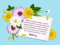 Поздравление от компании «Северная  звезда»